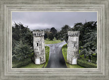 Load image into Gallery viewer, Two Rooks
