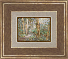 Load image into Gallery viewer, Sacred Grove
