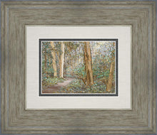 Load image into Gallery viewer, Sacred Grove
