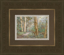 Load image into Gallery viewer, Sacred Grove
