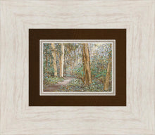 Load image into Gallery viewer, Sacred Grove
