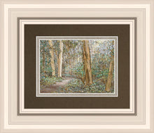 Load image into Gallery viewer, Sacred Grove
