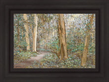 Load image into Gallery viewer, Sacred Grove
