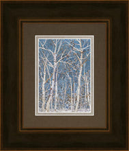 Load image into Gallery viewer, Woodland
