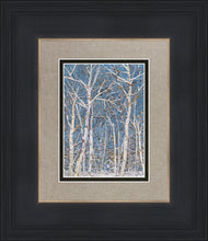 Load image into Gallery viewer, Woodland
