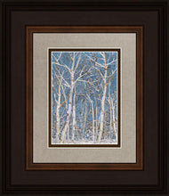 Load image into Gallery viewer, Woodland
