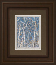 Load image into Gallery viewer, Woodland
