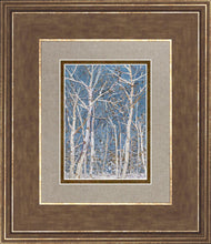 Load image into Gallery viewer, Woodland
