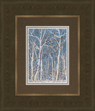 Load image into Gallery viewer, Woodland
