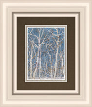 Load image into Gallery viewer, Woodland
