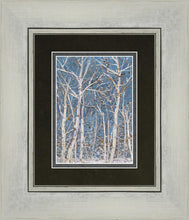 Load image into Gallery viewer, Woodland
