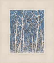 Load image into Gallery viewer, Woodland

