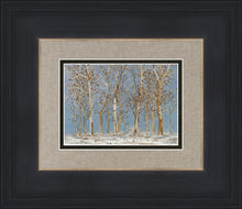 Load image into Gallery viewer, Winter Woods
