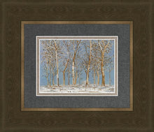 Load image into Gallery viewer, Winter Woods

