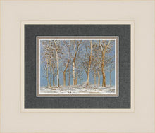 Load image into Gallery viewer, Winter Woods
