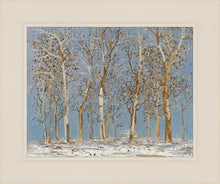 Load image into Gallery viewer, Winter Woods
