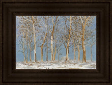 Load image into Gallery viewer, Winter Woods
