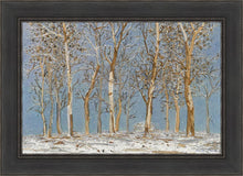Load image into Gallery viewer, Winter Woods
