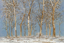 Load image into Gallery viewer, Winter Woods
