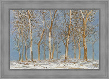 Load image into Gallery viewer, Winter Woods

