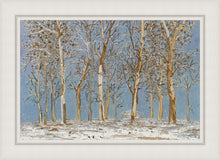 Load image into Gallery viewer, Winter Woods
