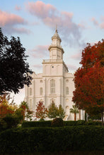 Load image into Gallery viewer, St. George Red Tree
