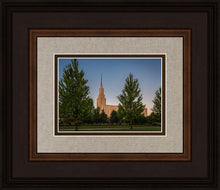 Load image into Gallery viewer, Twin Falls Green Glory

