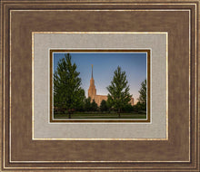 Load image into Gallery viewer, Twin Falls Green Glory
