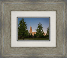 Load image into Gallery viewer, Twin Falls Green Glory
