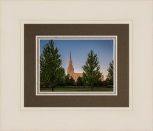 Load image into Gallery viewer, Twin Falls Green Glory
