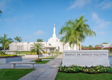 Load image into Gallery viewer, Mérida Mexico Yucatán
