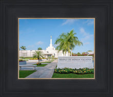 Load image into Gallery viewer, Mérida Mexico Yucatán
