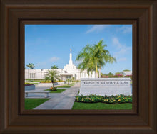 Load image into Gallery viewer, Mérida Mexico Yucatán
