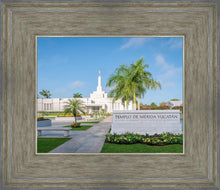 Load image into Gallery viewer, Mérida Mexico Yucatán
