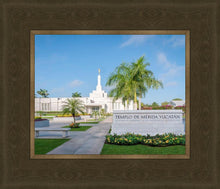 Load image into Gallery viewer, Mérida Mexico Yucatán
