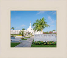 Load image into Gallery viewer, Mérida Mexico Yucatán

