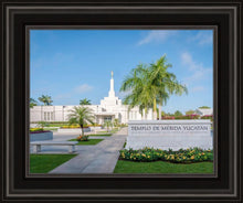 Load image into Gallery viewer, Mérida Mexico Yucatán
