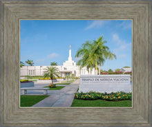 Load image into Gallery viewer, Mérida Mexico Yucatán
