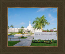Load image into Gallery viewer, Mérida Mexico Yucatán
