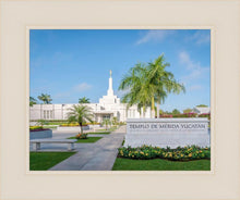 Load image into Gallery viewer, Mérida Mexico Yucatán
