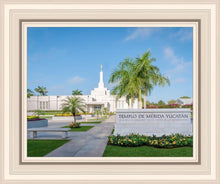 Load image into Gallery viewer, Mérida Mexico Yucatán
