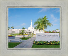 Load image into Gallery viewer, Mérida Mexico Yucatán
