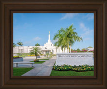 Load image into Gallery viewer, Mérida Mexico Yucatán
