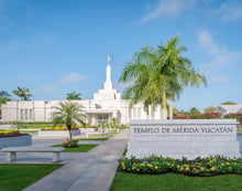 Load image into Gallery viewer, Mérida Mexico Yucatán
