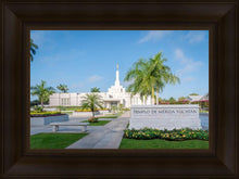 Load image into Gallery viewer, Mérida Mexico Yucatán
