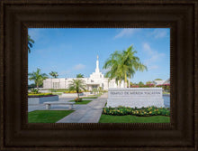 Load image into Gallery viewer, Mérida Mexico Yucatán
