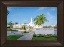 Load image into Gallery viewer, Mérida Mexico Yucatán
