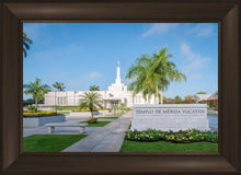 Load image into Gallery viewer, Mérida Mexico Yucatán
