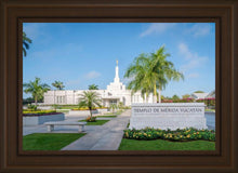 Load image into Gallery viewer, Mérida Mexico Yucatán
