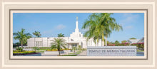 Load image into Gallery viewer, Mérida Mexico Yucatán
